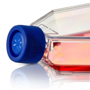 Thermo Scientific Nunclon Sphera T75 Flask (REF 174952)